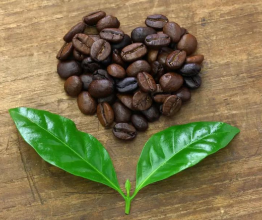 ¿Es sostenible tomar café?