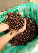 Cargar imagen en el visor de la galería, Café Ge - Honey Tropical