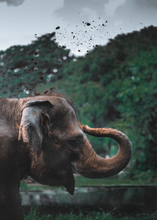 Cargar imagen en el visor de la galería, Cafeteras y cafeteras de primera calidad en línea Cafe Ge