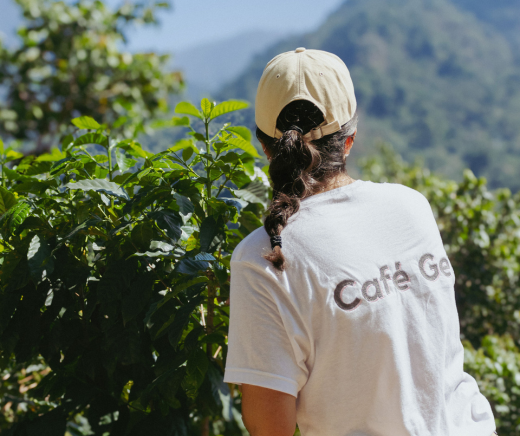Visita a la finca de café, un viaje transformador