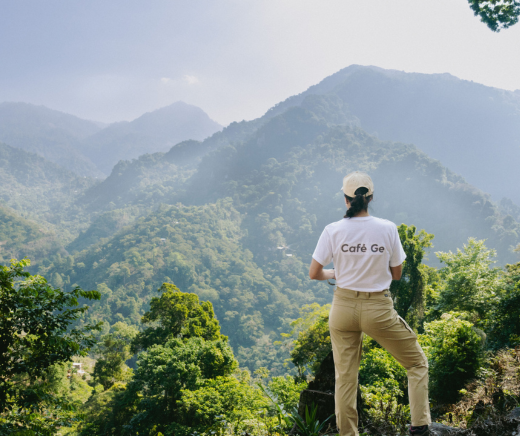 finca de cafe en chiapas