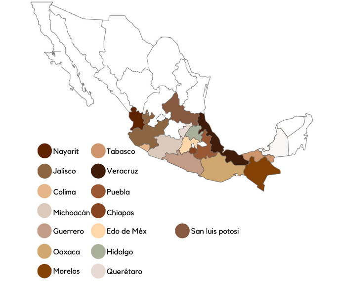 ¿Cuáles son los estados cafetaleros de México?