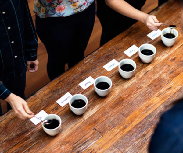 El secreto para catar un café