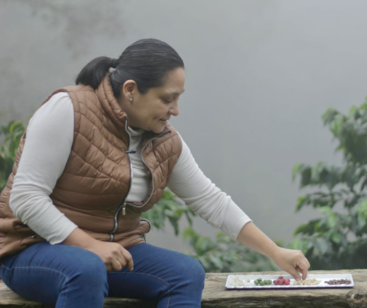 Cosecha de Julia: sabor auténtico en cada grano