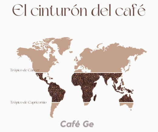 Variedades de café por país y sus características