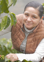 Cargar imagen en el visor de la galería, Café Ge - Cosecha de Julia, Orgánico
