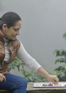 Café Ge - Cosecha de Julia, Orgánico