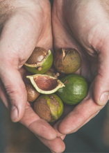 Cargar imagen en el visor de la galería, Manos que sostienen macadamias
