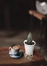 Cargar imagen en el visor de la galería, Taza de espresso con planta a lado
