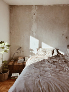 Habitacion que muestra una cama una planta y un buro
