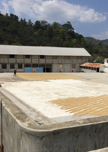 Proceso de secado 